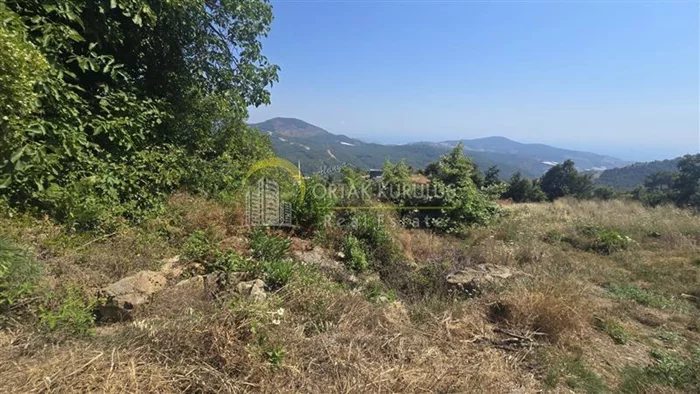 property for sale Alanya Center - photo 5