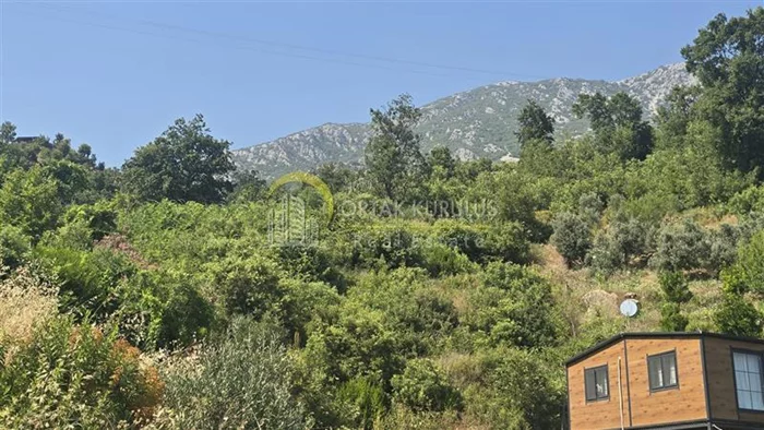 property for sale Alanya Center - photo 3