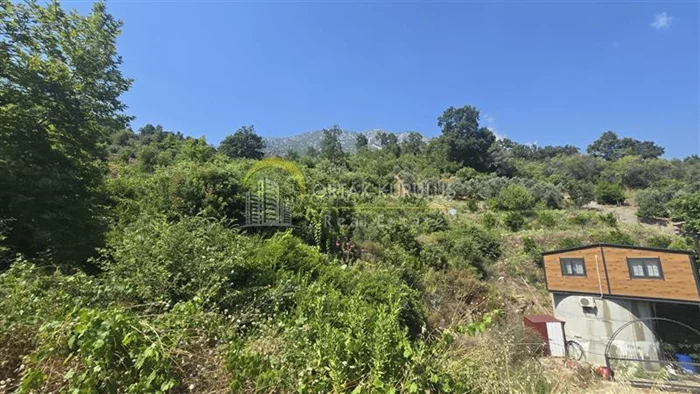 property for sale Alanya Center - photo 2