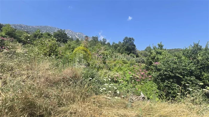 property for sale Alanya Center - photo 4