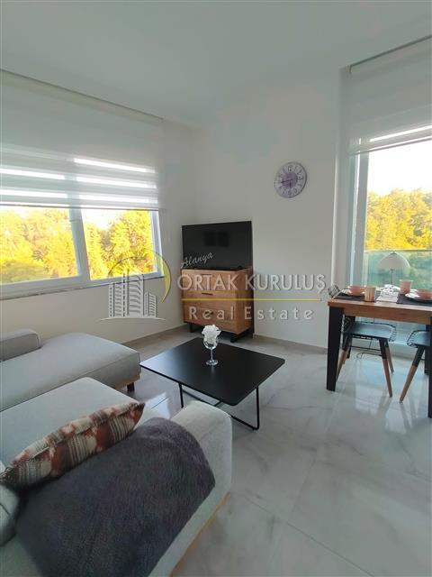 property for sale Avsallar 58824