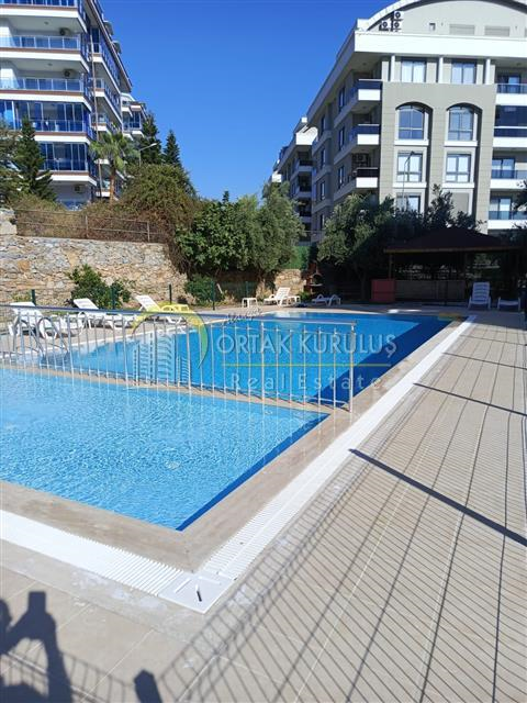 property for sale Cikcikli 73123