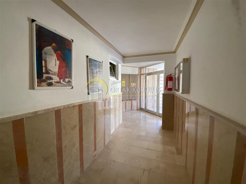 property for sale Cikcikli 73587