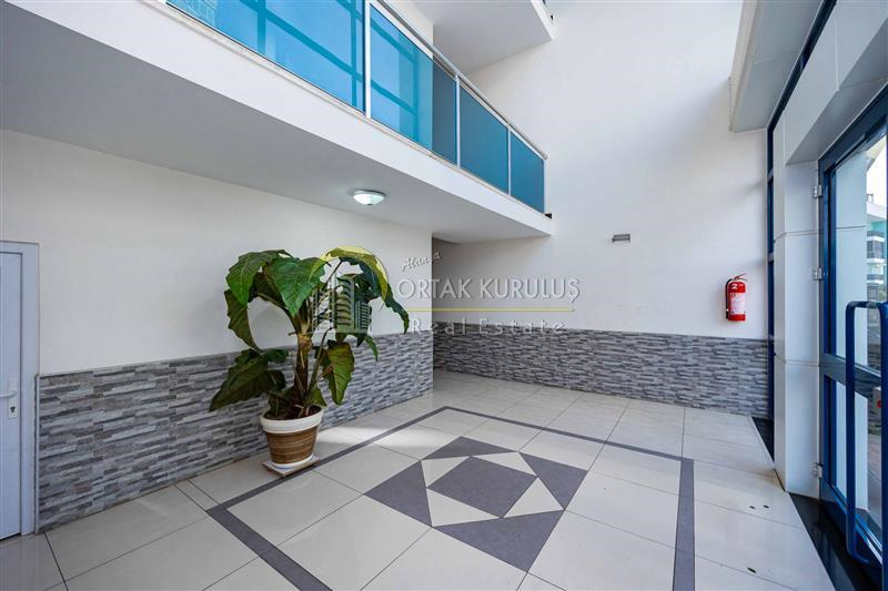 property for sale Cikcikli 80354