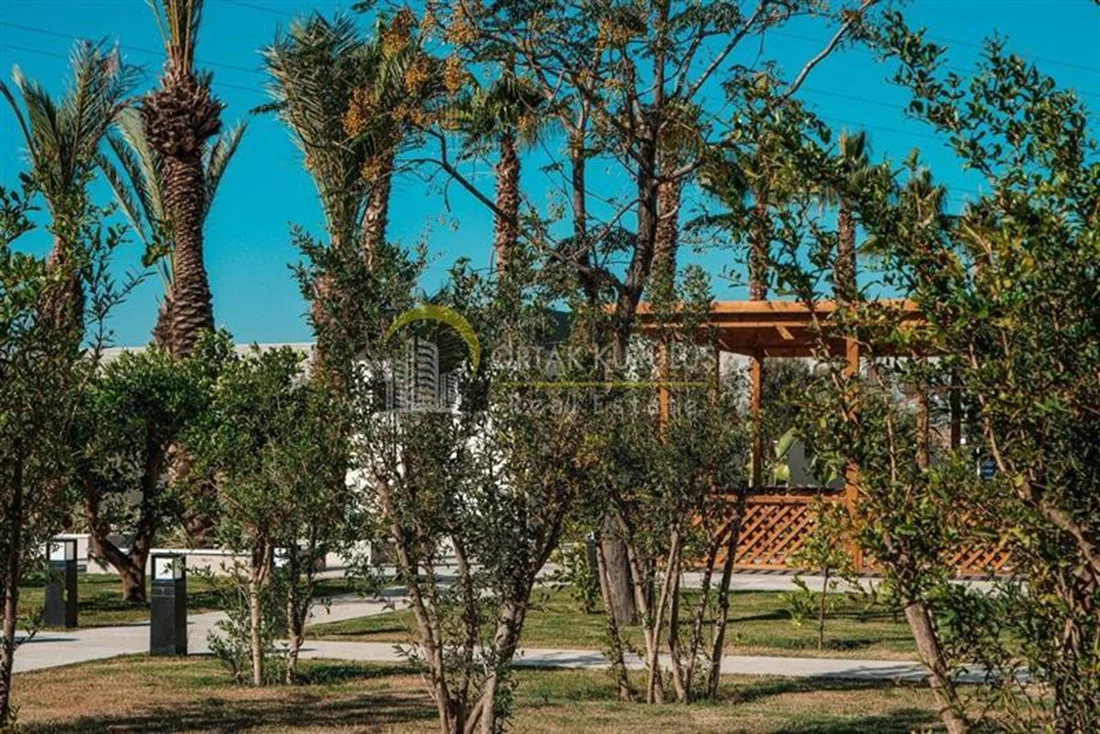 property for sale Demirtaş - photo 6