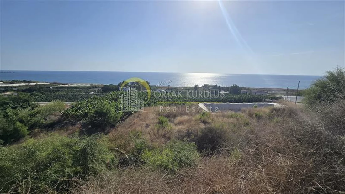 property for sale Demirtaş - photo 5