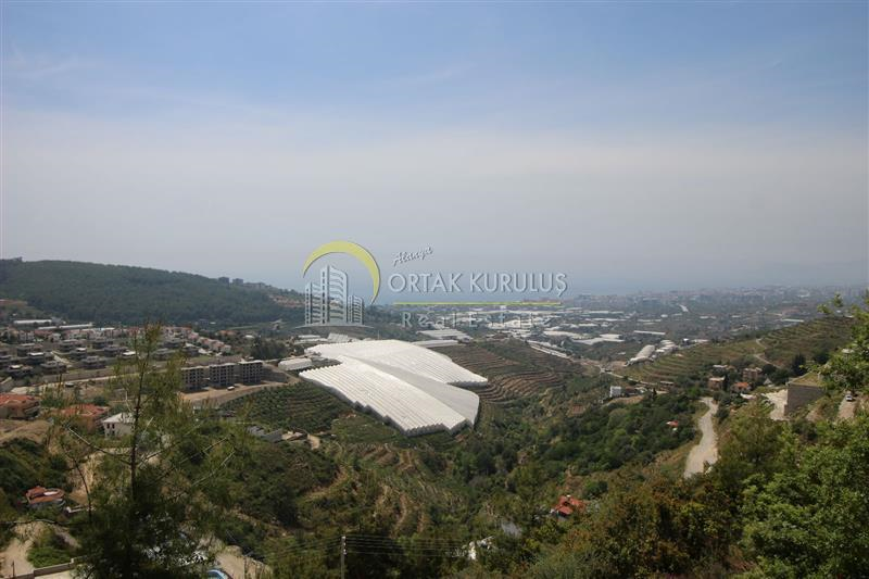 property for sale Kargıcak 10083