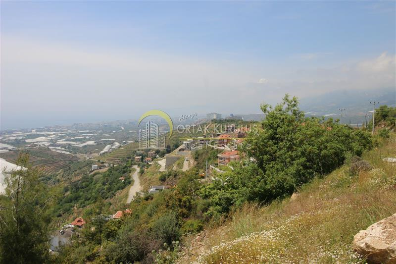 property for sale Kargıcak 10086