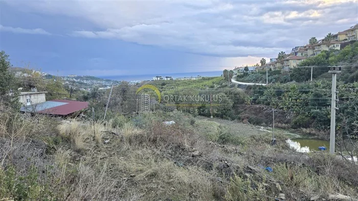 property for sale Kargıcak - photo 15