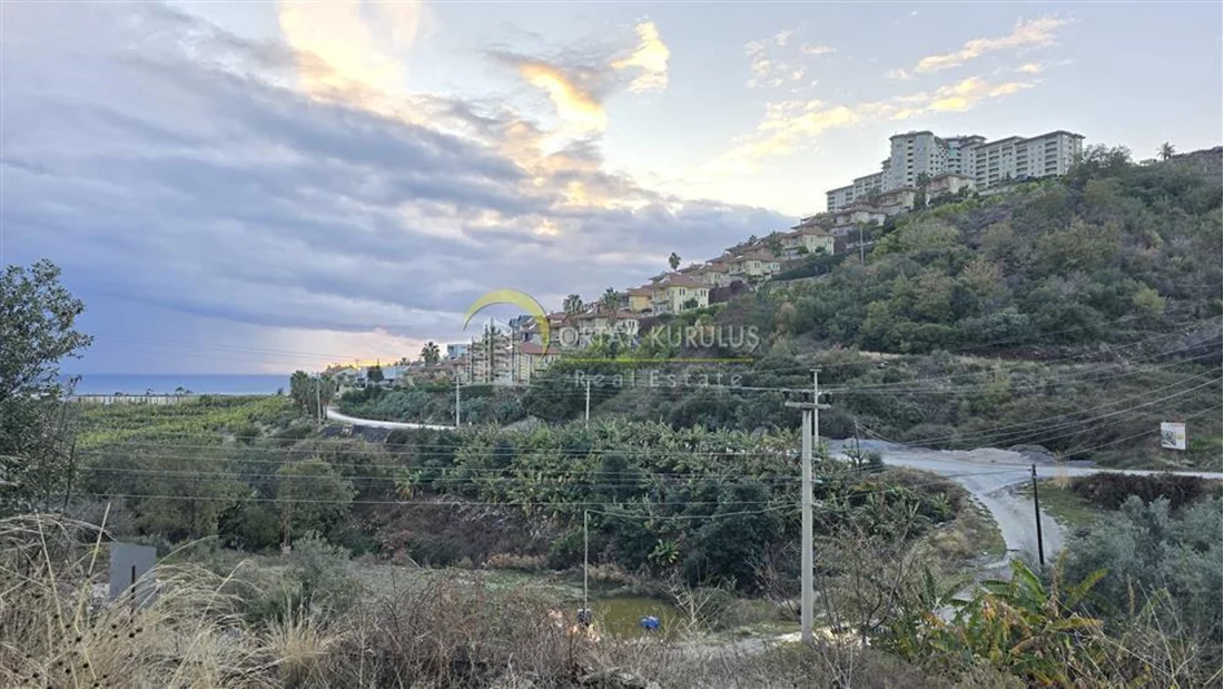 property for sale Kargıcak - photo 16
