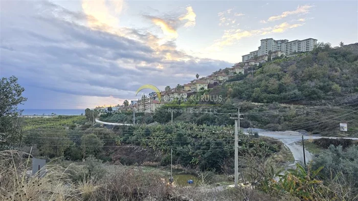 property for sale Kargıcak - photo 16