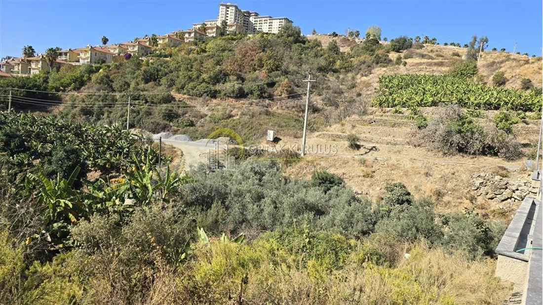 property for sale Kargıcak - photo 7