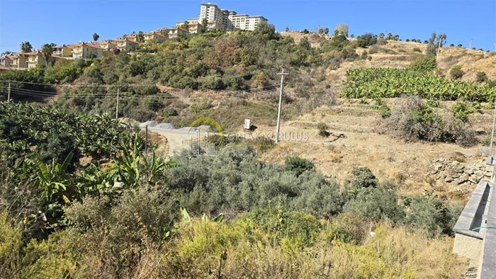 property for sale Kargıcak - photo 7