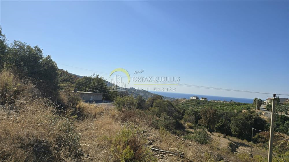 property for sale Kargıcak 40841