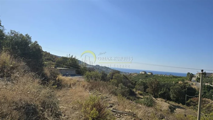 property for sale Kargıcak - photo 8