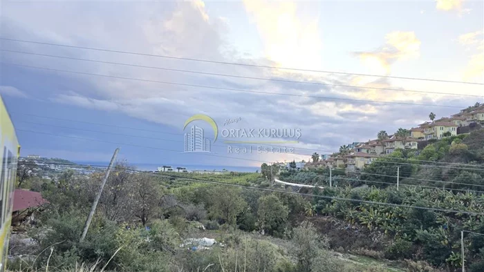 property for sale Kargıcak - photo 17