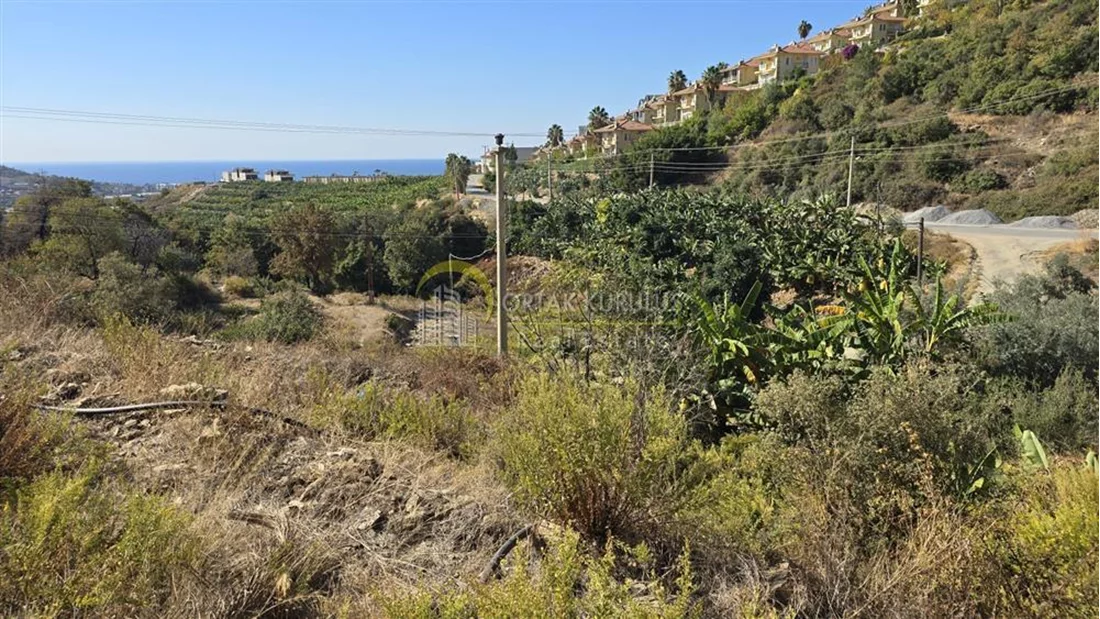 property for sale Kargıcak - photo 6