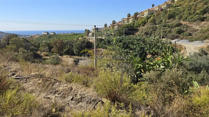 property for sale Kargıcak - photo 6