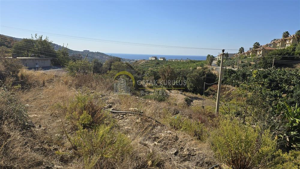 property for sale Kargıcak 40844