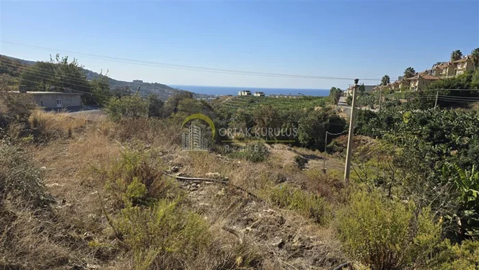 property for sale Kargıcak - photo 10