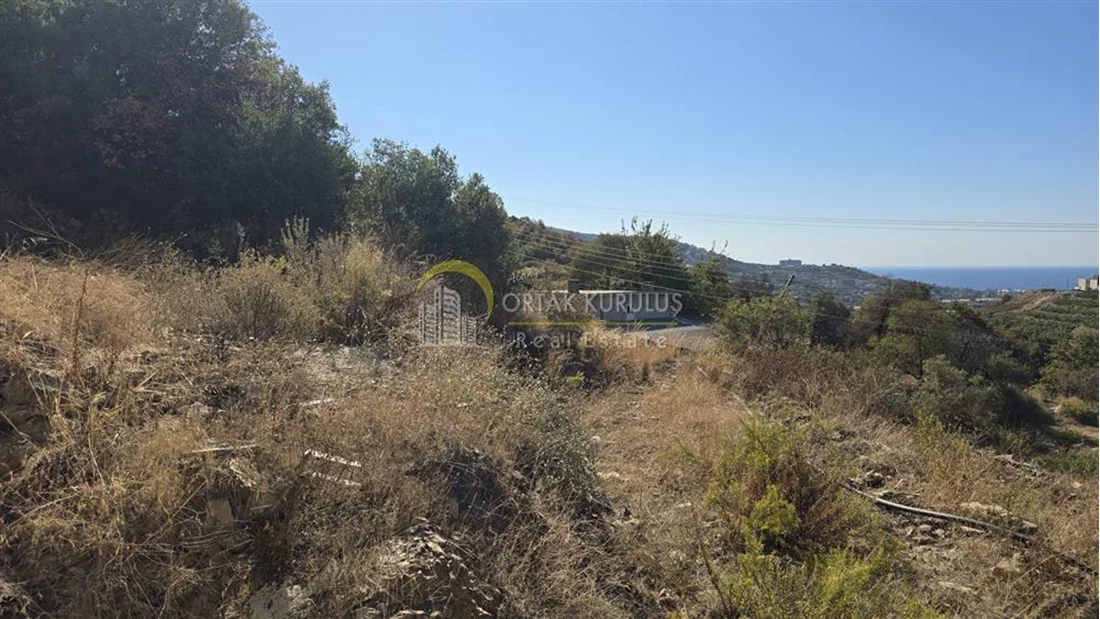 property for sale Kargıcak - photo 9