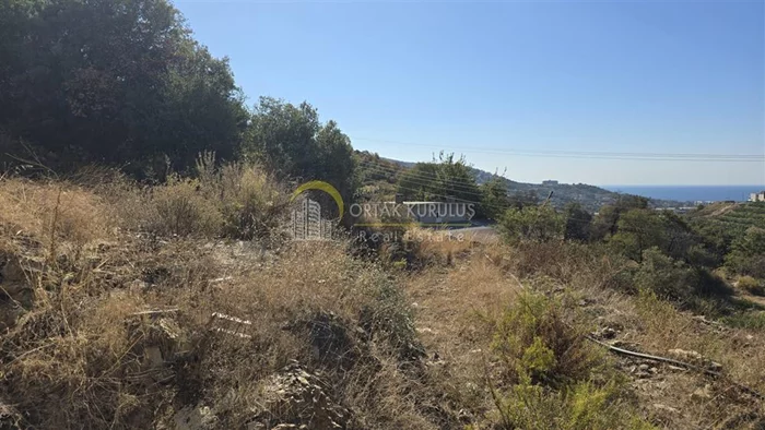 property for sale Kargıcak - photo 9