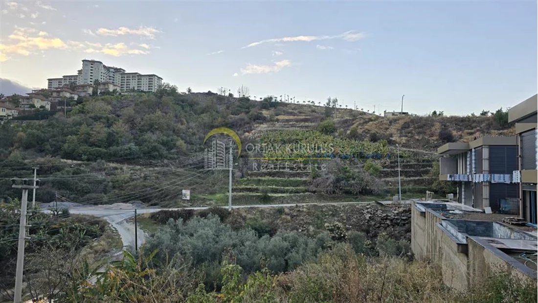 property for sale Kargıcak - photo 13