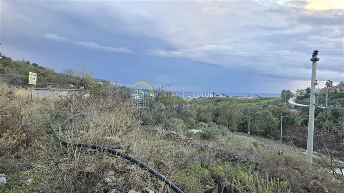 property for sale Kargıcak - photo 14