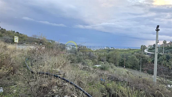 property for sale Kargıcak - photo 14