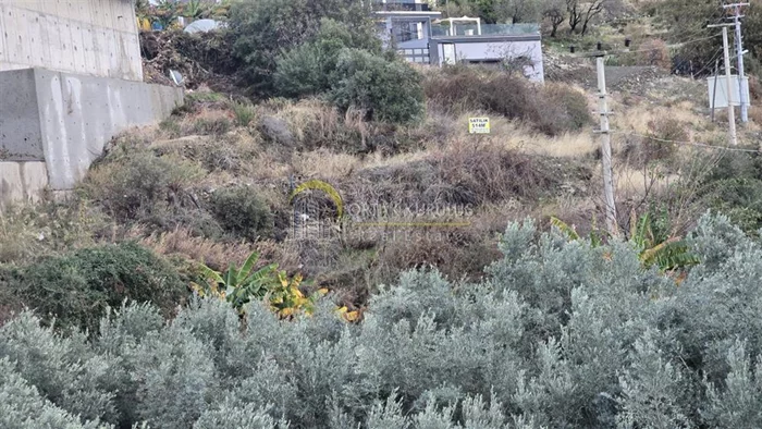 property for sale Kargıcak - photo 11