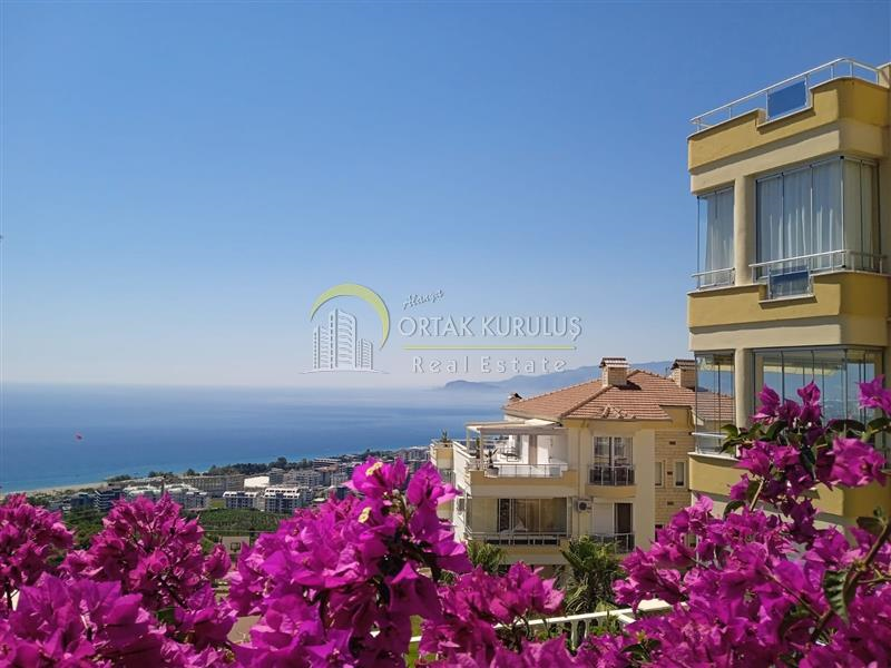 property for sale Kargıcak 46539