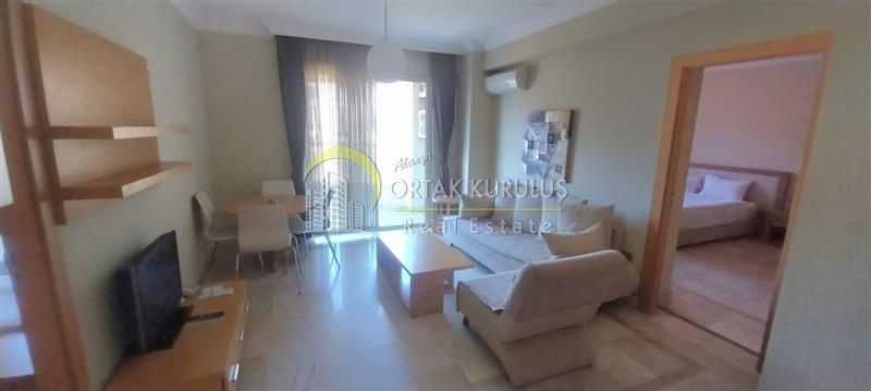 property for sale Kargıcak 47890