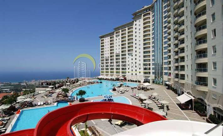 property for sale Kargıcak 55506