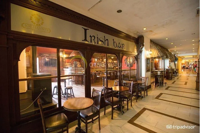 property for sale Kargıcak - photo 3