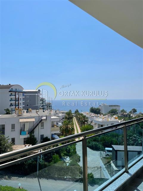 property for sale Kargıcak 55815