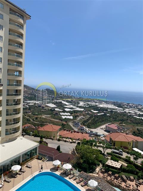 property for sale Kargıcak 56661