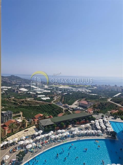 property for sale Kargıcak 59003