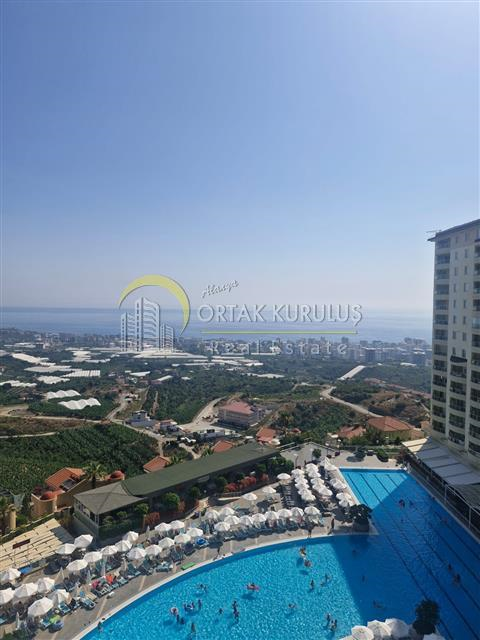 property for sale Kargıcak 59001
