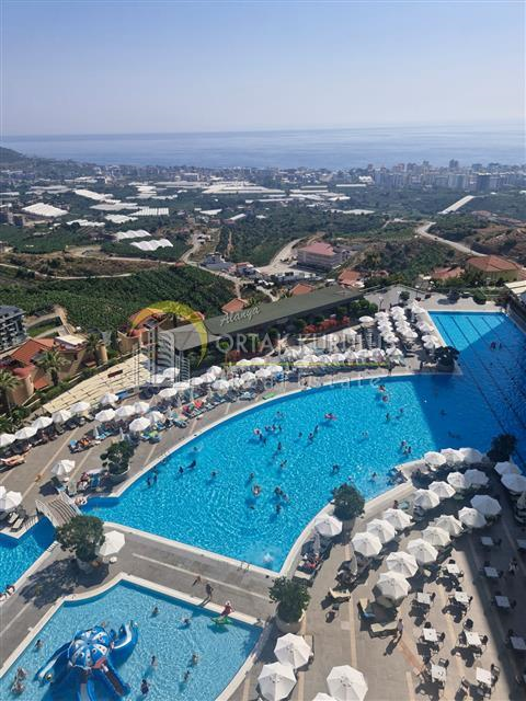 property for sale Kargıcak 59006