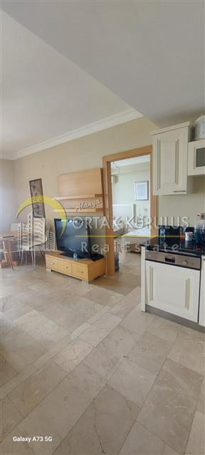 property for sale Kargıcak 61921