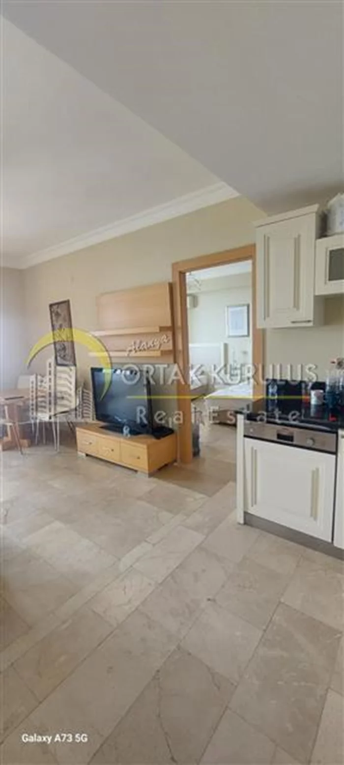 property for sale Kargıcak - photo 39