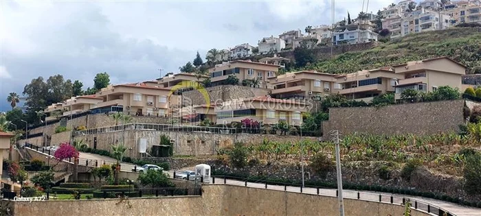 property for sale Kargıcak - photo 19