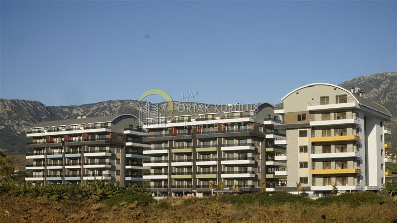 property for sale Kargıcak 62858