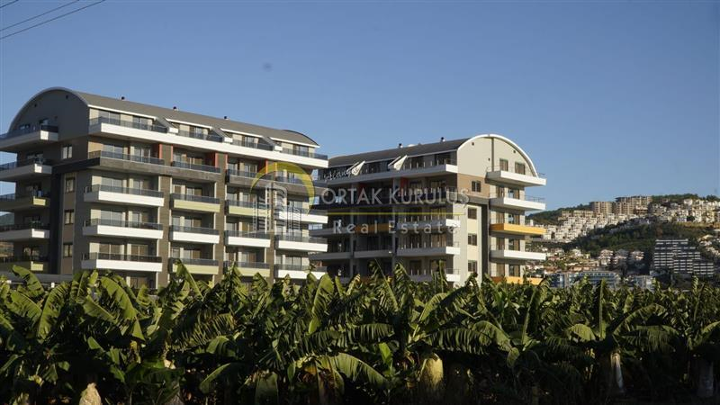 property for sale Kargıcak 62859
