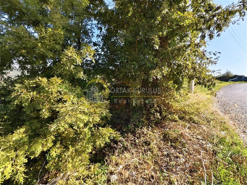 property for sale Kargıcak 71252