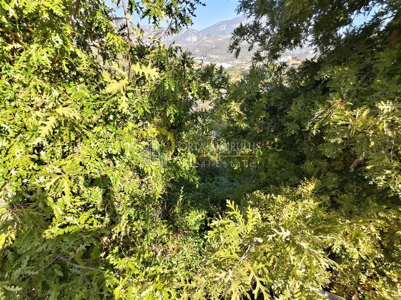 property for sale Kargıcak 71251