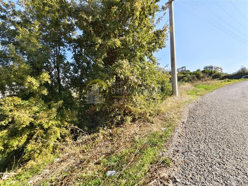 property for sale Kargıcak 71253