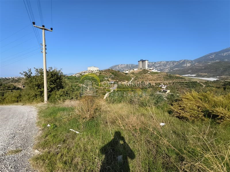 property for sale Kargıcak 71256