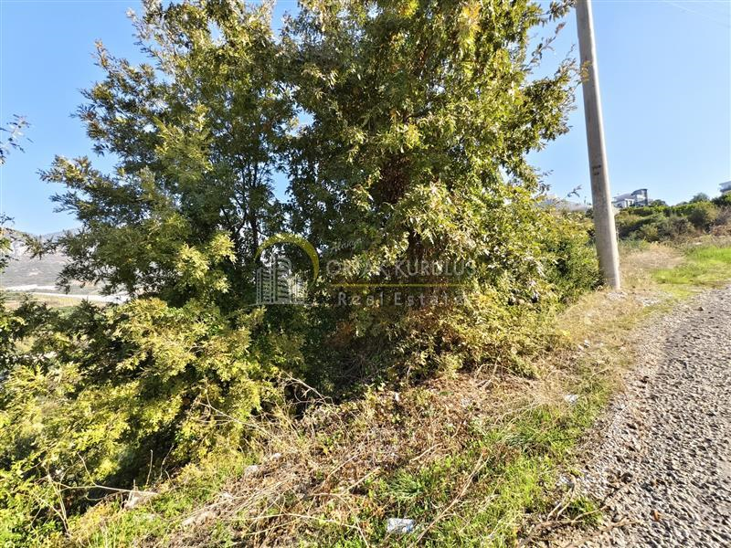 property for sale Kargıcak 71250