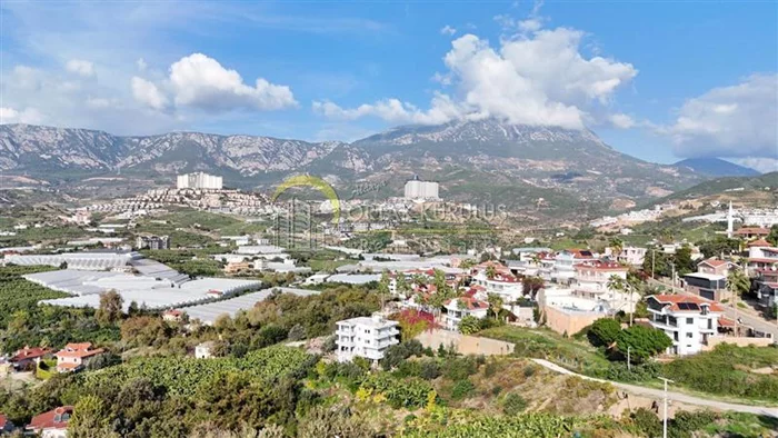 property for sale Kargıcak - photo 29